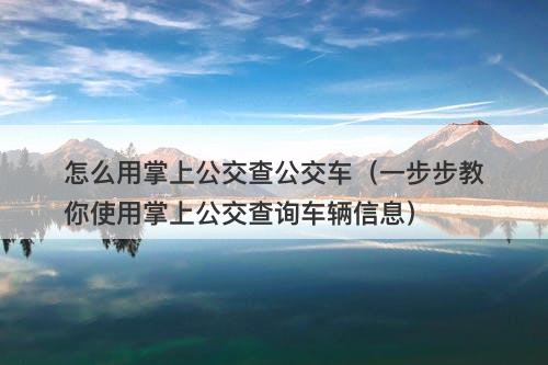 怎么用掌上公交查公交车（一步步教你使用掌上公交查询车辆信息）