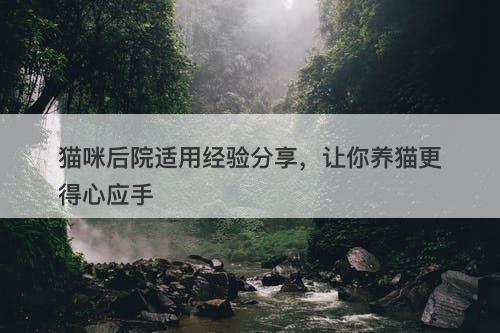 猫咪后院适用经验分享，让你养猫更得心应手