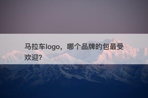 马拉车logo，哪个品牌的包最受欢迎？