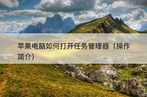 苹果电脑如何打开任务管理器（操作简介）