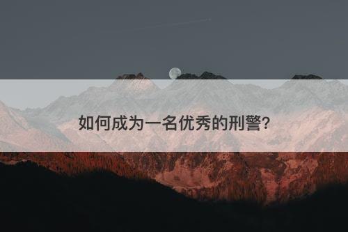 如何成为一名优秀的刑警？