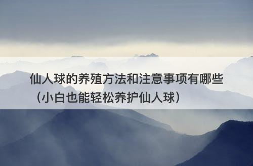 仙人球的养殖方法和注意事项有哪些（小白也能轻松养护仙人球）