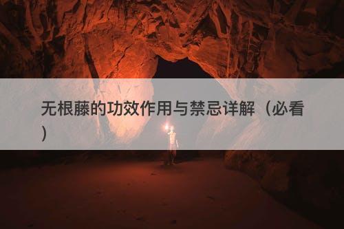 无根藤的功效作用与禁忌详解（必看）