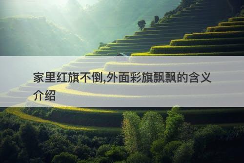 家里红旗不倒,外面彩旗飘飘的含义介绍