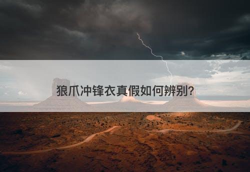 狼爪冲锋衣真假如何辨别？