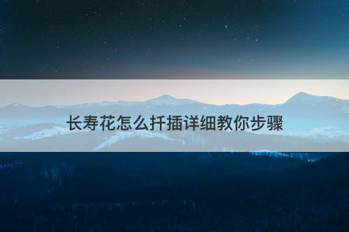 长寿花怎么扦插详细教你步骤-图1 长寿花怎么扦插详细教你步骤-图1