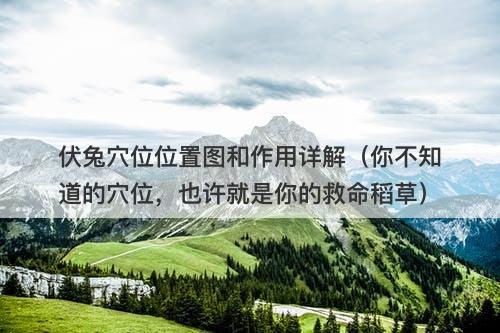 伏兔穴位位置图和作用详解（你不知道的穴位，也许就是你的救命稻草）