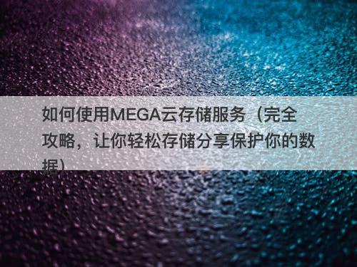 如何使用MEGA云存储服务（完全攻略，让你轻松存储分享保护你的数据）-图1