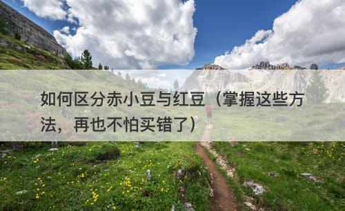如何区分赤小豆与红豆（掌握这些方法，再也不怕买错了）