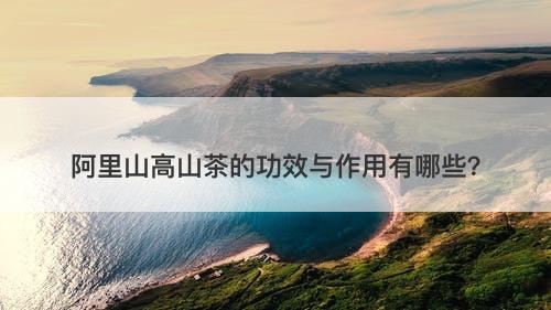 阿里山高山茶的功效与作用有哪些？-图1