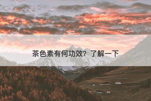 茶色素有何功效？了解一下