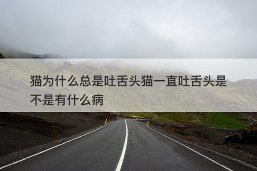 猫为什么总是吐舌头猫一直吐舌头是不是有什么病