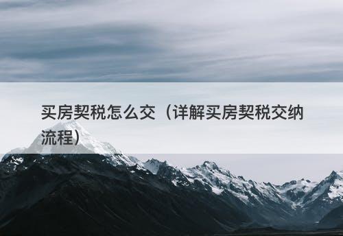 买房契税怎么交（详解买房契税交纳流程）