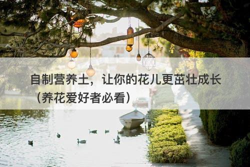 自制营养土，让你的花儿更茁壮成长（养花爱好者必看）-图1