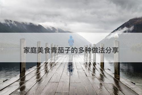 家庭美食青茄子的多种做法分享