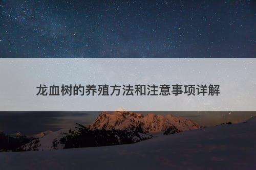 龙血树的养殖方法和注意事项详解-图1 龙血树的养殖方法和注意事项详解-图1
