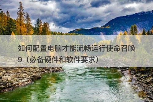 如何配置电脑才能流畅运行使命召唤9（必备硬件和软件要求）