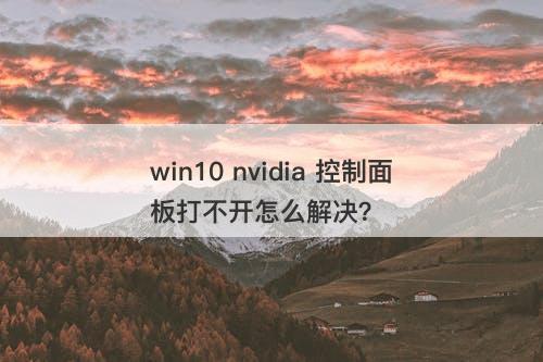 win10 nvidia 控制面板打不开怎么解决？