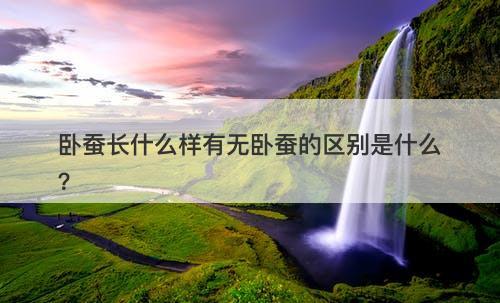 卧蚕长什么样有无卧蚕的区别是什么?-图1 卧蚕长什么样有无卧蚕的区别是什么?-图1