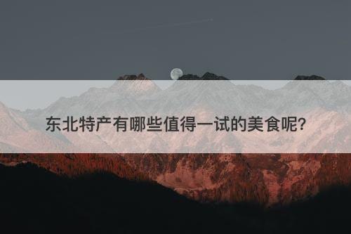 东北特产有哪些值得一试的美食呢？-图1