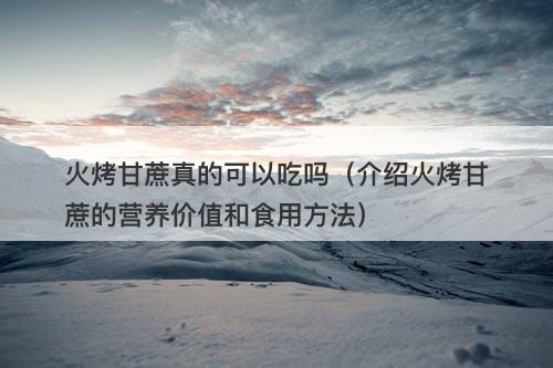 火烤甘蔗真的可以吃吗（介绍火烤甘蔗的营养价值和食用方法）