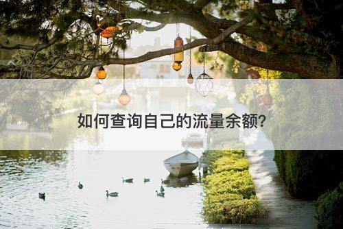 如何查询自己的流量余额？