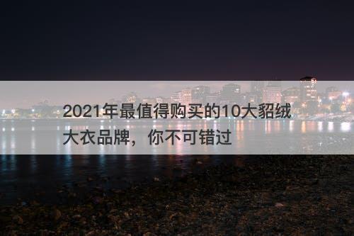 2021年最值得购买的10大貂绒大衣品牌，你不可错过
