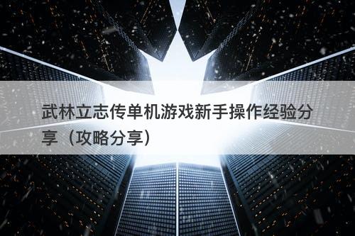 武林立志传单机游戏新手操作经验分享（攻略分享）