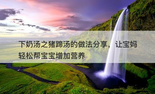 下奶汤之猪蹄汤的做法分享，让宝妈轻松帮宝宝增加营养-图1