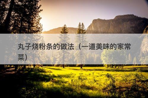 丸子烧粉条的做法（一道美味的家常菜）