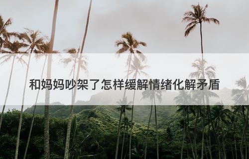 和妈妈吵架了怎样缓解情绪化解矛盾