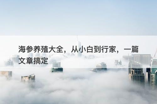 海参养殖大全，从小白到行家，一篇文章搞定