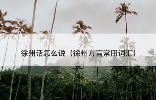 徐州话怎么说（徐州方言常用词汇）
