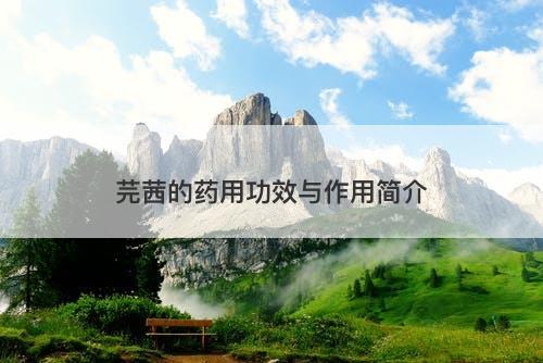 芫茜的药用功效与作用简介