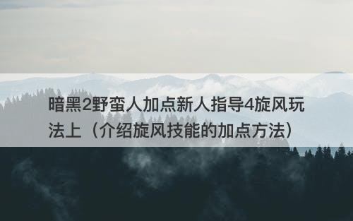 暗黑2野蛮人加点新人指导4旋风玩法上（介绍旋风技能的加点方法）