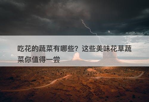 吃花的蔬菜有哪些？这些美味花草蔬菜你值得一尝