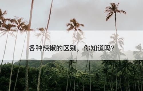 各种辣椒的区别，你知道吗？