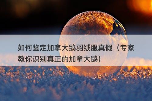 如何鉴定加拿大鹅羽绒服真假（专家教你识别真正的加拿大鹅）
