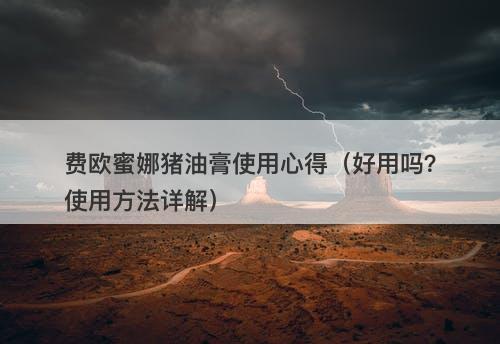 费欧蜜娜猪油膏使用心得（好用吗？使用方法详解）