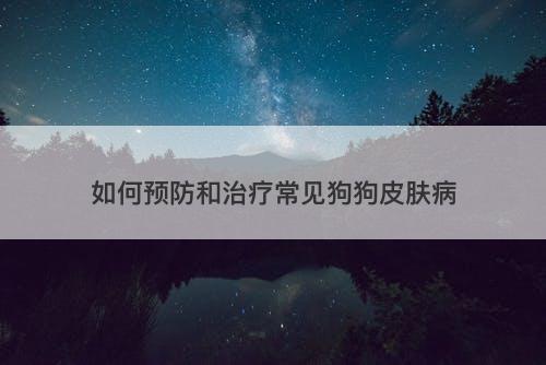如何预防和治疗常见狗狗皮肤病