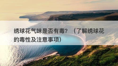 绣球花气味是否有毒？（了解绣球花的毒性及注意事项）