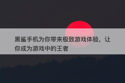 黑鲨手机为你带来极致游戏体验，让你成为游戏中的王者
