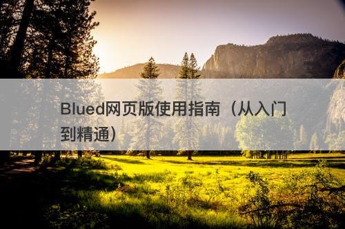 Blued网页版使用指南（从入门到精通）