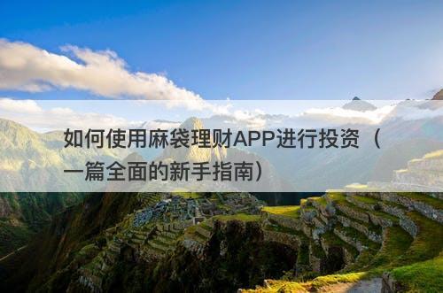 如何使用麻袋理财APP进行投资（一篇全面的新手指南）