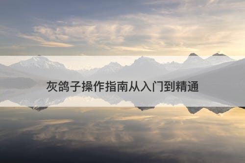 灰鸽子操作指南从入门到精通