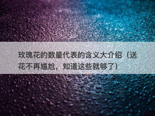 玫瑰花的数量代表的含义大介绍（送花不再尴尬，知道这些就够了）