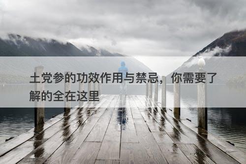 土党参的功效作用与禁忌，你需要了解的全在这里
