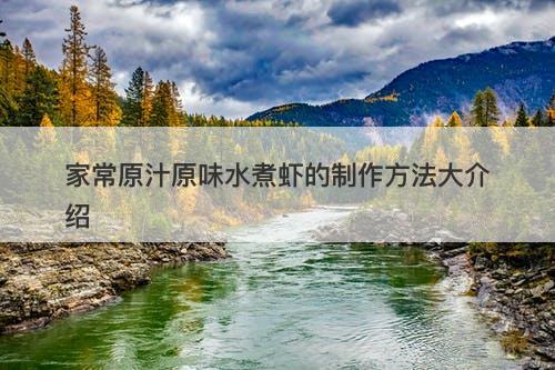 家常原汁原味水煮虾的制作方法大介绍