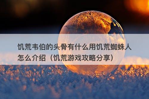 饥荒韦伯的头骨有什么用饥荒蜘蛛人怎么介绍（饥荒游戏攻略分享）