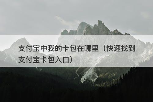 支付宝中我的卡包在哪里(快速找到支付宝卡包入口)-图1 支付宝中我的卡包在哪里(快速找到支付宝卡包入口)-图1